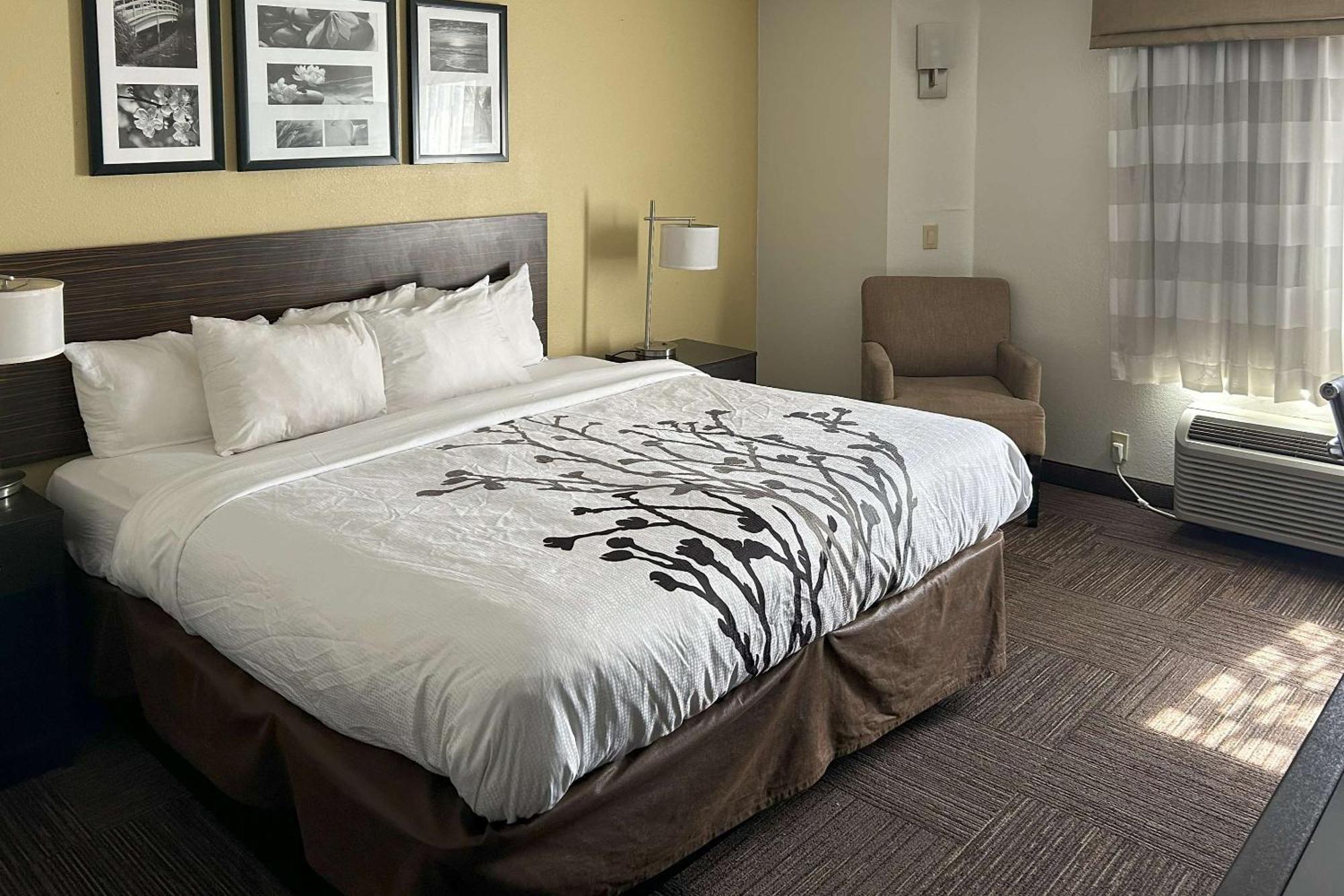 Hotel Sleep Near I-95 Wilson